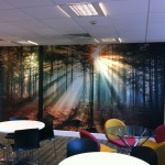 Wall vinyl 7